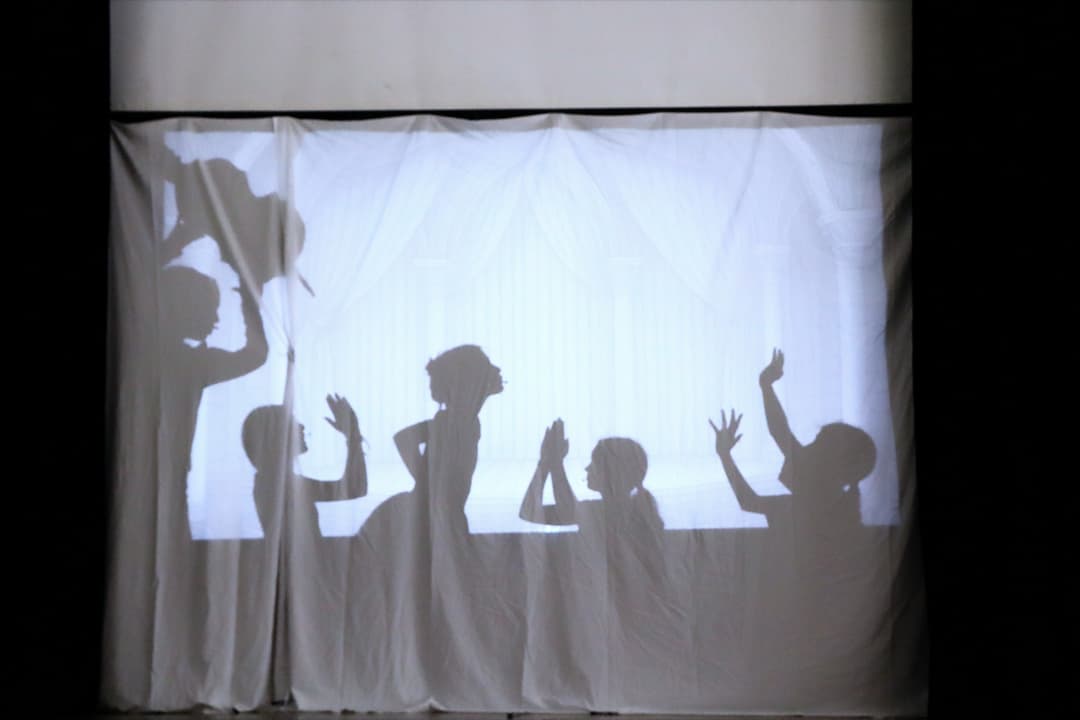 Un spectacle utilisant des ombres